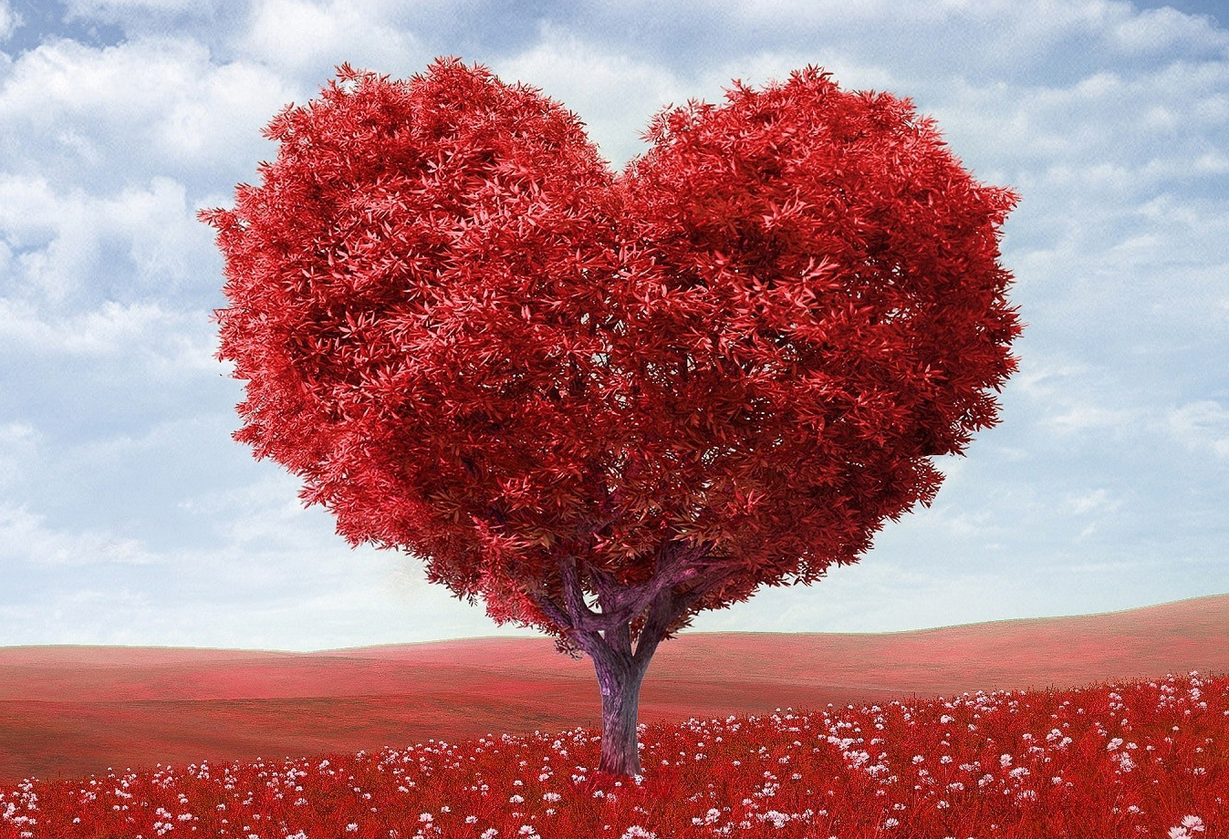 Yogiji - Kundalini Yoga - Amour - Compassion